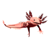 Low poly geometric axolotl in pink