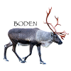 Boden