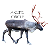 Arctic Circle