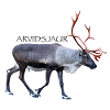 ARVIDSJAUR