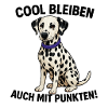 Dalmatian with Purple Collar