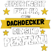 Roofers – They are perfect!