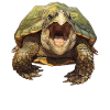 Snapping Turtles Snapping Turtle