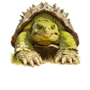 Schnappschildkröten Schnappschildkröte