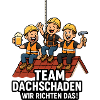 Team Roof Damage Roofer Funny