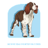 English Springer Spaniel Gifts