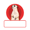Meerkat Funny Meerkat Gifts