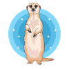 Suricate Mignon Cadeau de suricate