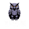 OWL CHASING YOU