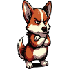 Corgi Corgi Welsh Corgi Corgi Corgi Omistaja Corgi Corgi Corgi