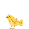 I can't I canary