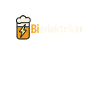 ELEKTRIKER BIER BIERLEKTRIKER