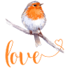 Robin with love text