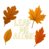 Leave Me Alone