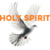 Dove of Holy Spirit