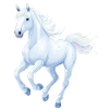 Horse with snowflakes