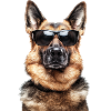 Dog Shepherd Sunglasses