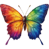 Schmetterling