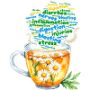 Chamomile tea for stress