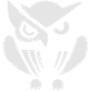 Fabulous owl illustration on print