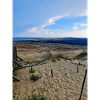 Curonian Spit