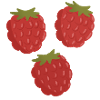 Vivid Raspberry Fruit Pattern