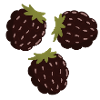 Berry Delight Illustrative Design
