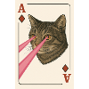 Katz-Ass