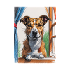 Chien de la fenêtre arty