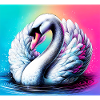 swan