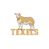 I love my Texel sheep