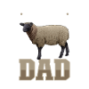 Dorperschaf Papa