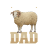 Dorset-Fleischschaf Papa
