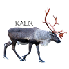 KALIX