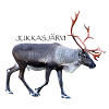 Jukkasjärvi