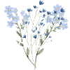 ME/CFS Fleurs blanches