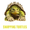 Snapping Turtles Snapping Turtle