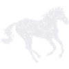 White horse galloping
