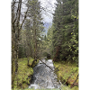 Natural landscape with river and trees