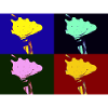 Shell Imagination