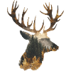 Deer Deer Reindeer
