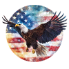 Drapeau Eagle USA