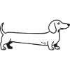 Dachshund