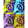Rose pop art