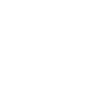 Evolution in Lines Dinosaur Fossil Bones