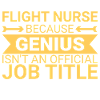 Flight Nurse Genius Air Rescue
