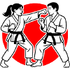 Karate Kumite