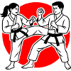 Karate Kumite