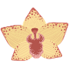 Elegant Orchid Flower Illustration