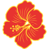Hibiscus Flower Red Yellow Summer Tropical